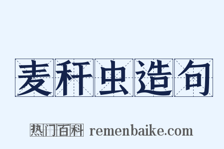 麦秆虫造句是什么意思的图片